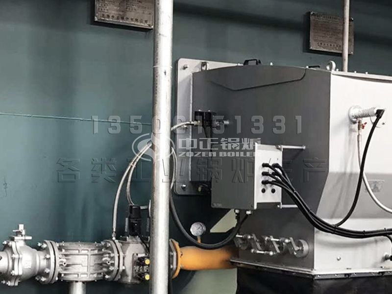 山東生物質顆粒鍋爐生產廠家