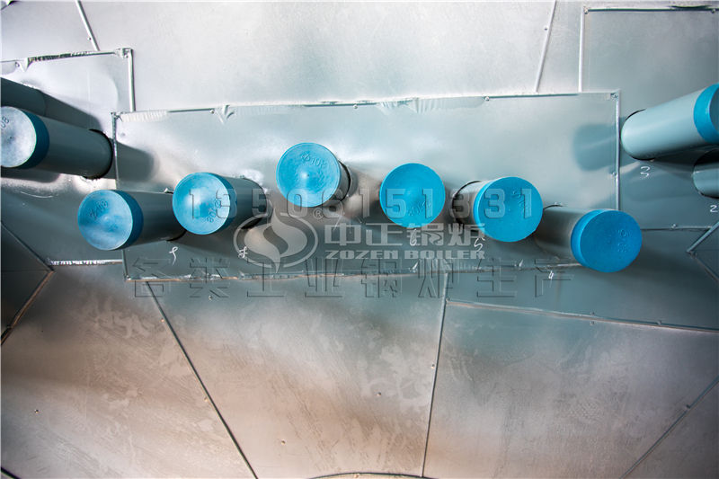 鏈條式式生物質(zhì)鍋爐