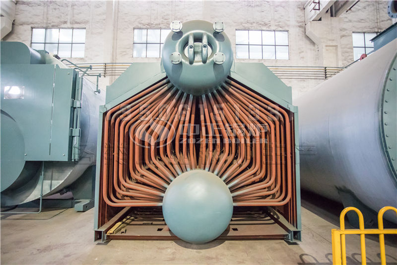 生物質顆粒鍋爐優缺點